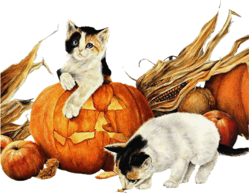 őszi állatok_135.gif